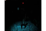 Untitled-6